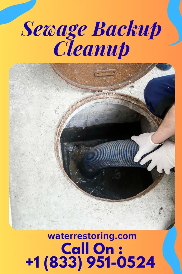 Sewage Backup Cleanup in Bryan, TX